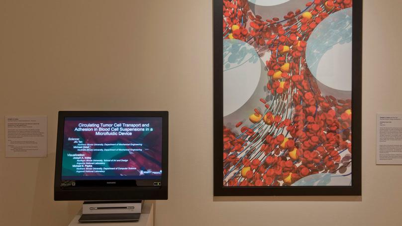 ddiLab's co-Director Insley's latest scientific visualization part of Biennial Exhibition